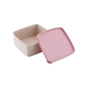 Plastic lunch box